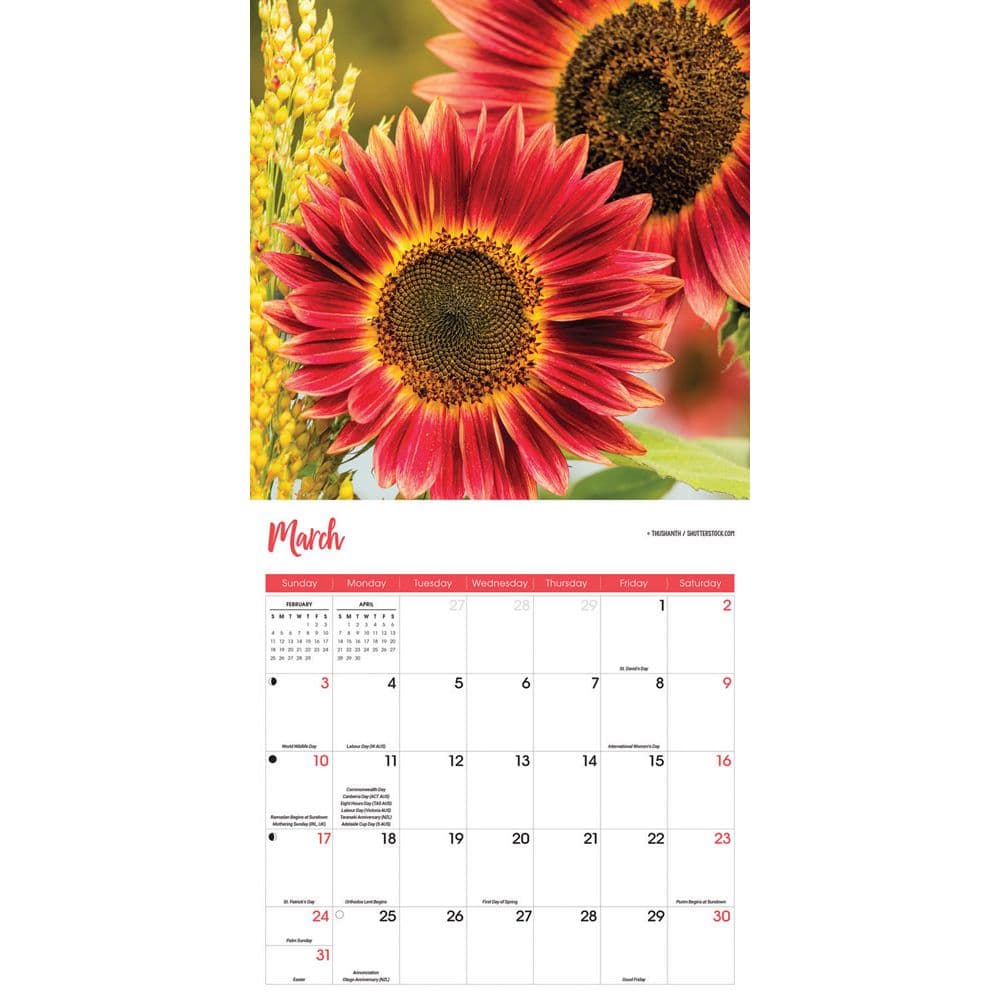 Sunflowers 2024 Wall Calendars Calendars Com   2886db8c 9265 41b1 B206 7d1835700800