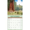 image Redwood Forest 2026 Wall Calendar Third Alternate Image