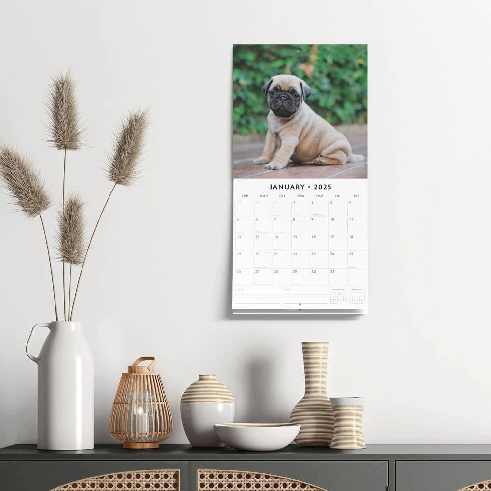 Pugs 2025 Wall Calendar Alt4