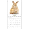 image Bunnies and Friends 2024 Wall Calendar Second Alternate Image width=&quot;1000&quot; height=&quot;1000&quot;