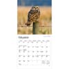 image Owls 2026 Mini Wall Calendar
