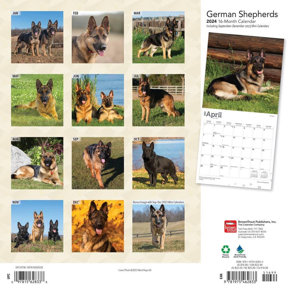 German Shepherds 2024 Wall Calendar Alternate Image 1