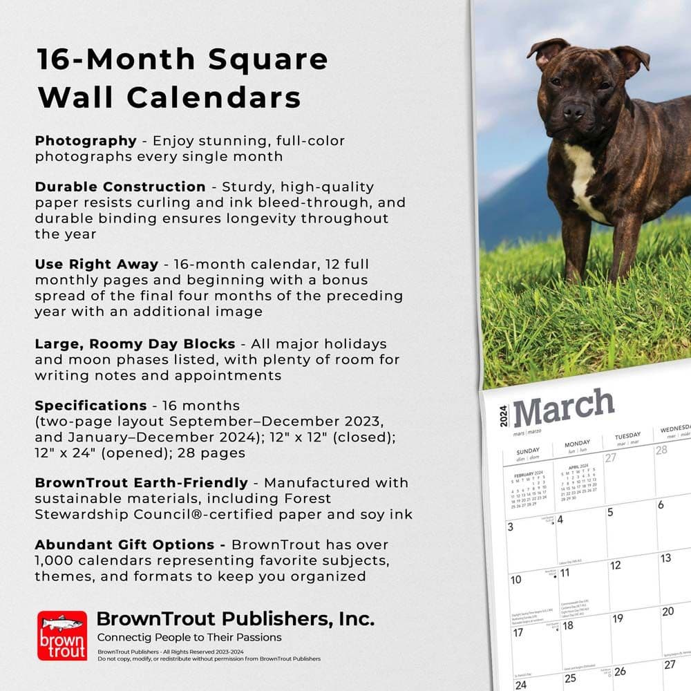 Staffordshire Bull Terriers 2024 Wall Calendar Fourth Alternate Image width=&quot;1000&quot; height=&quot;1000&quot;
