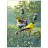 image Songbirds Special Edition 2024 Wall Calendar Fifth Alternate Image width=&quot;1000&quot; height=&quot;1000&quot;