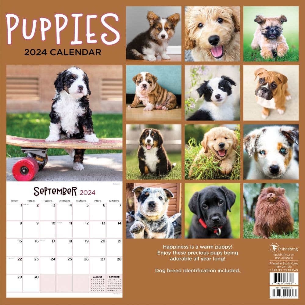 Puppies 2024 Wall Calendar - Calendars.com