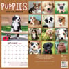 image Puppies 2024 Wall Calendar First Alternate Image width=&quot;1000&quot; height=&quot;1000&quot;
