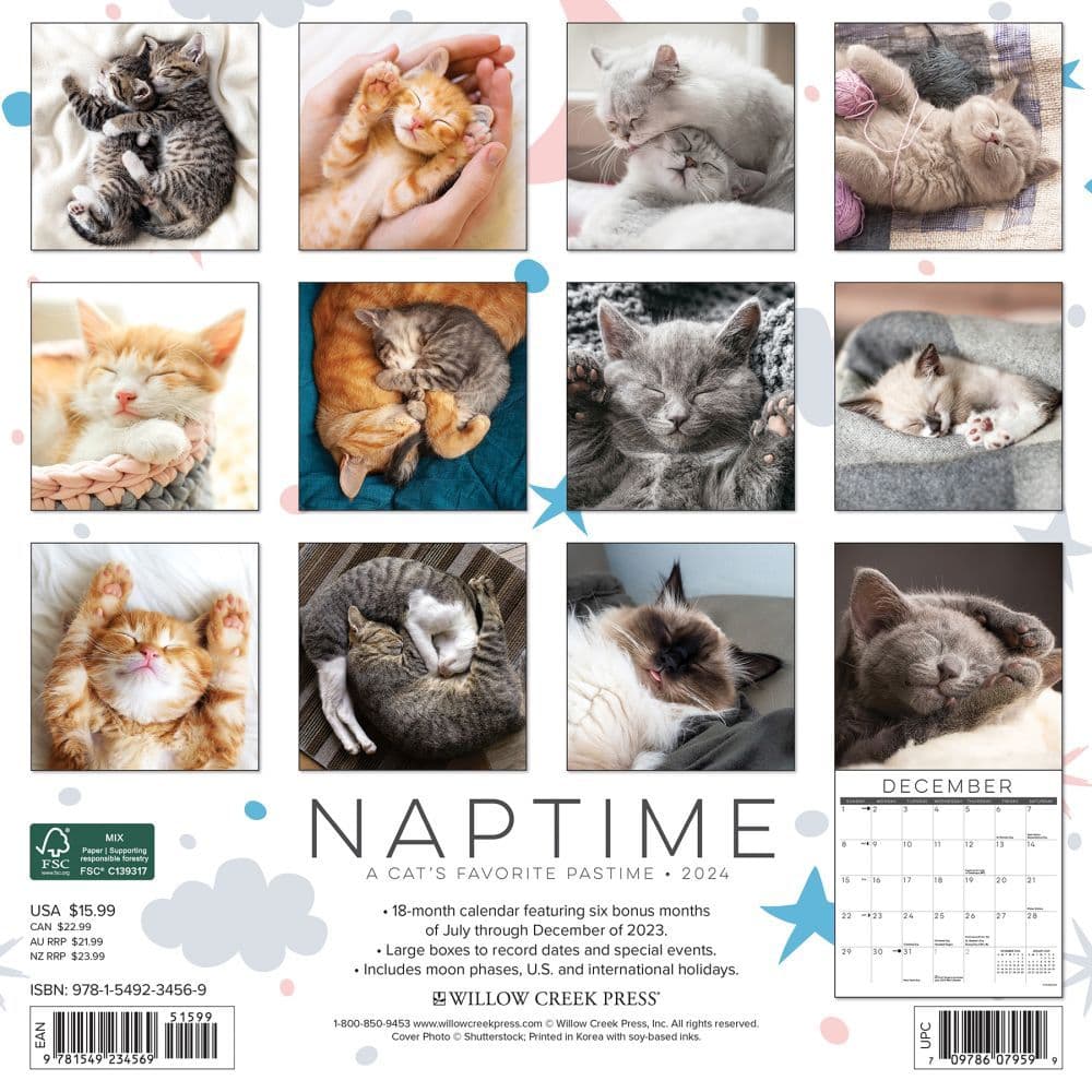 Cat Naps 2025 Wall Calendar