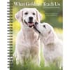 image What Goldens Teach Us 2025 Engagement Planner Main Image