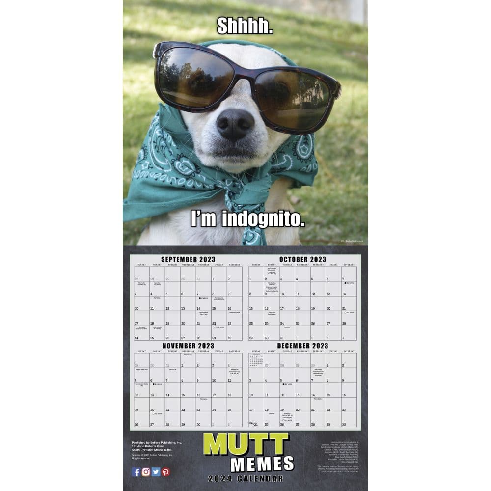 Mutt Memes 2024 Wall Calendar