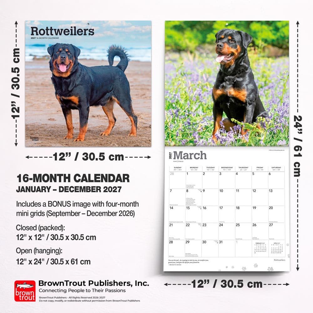 Rottweilers 2027 Wall Calendar Seventh Alternate Image