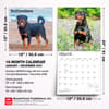 image Rottweilers 2027 Wall Calendar Seventh Alternate Image