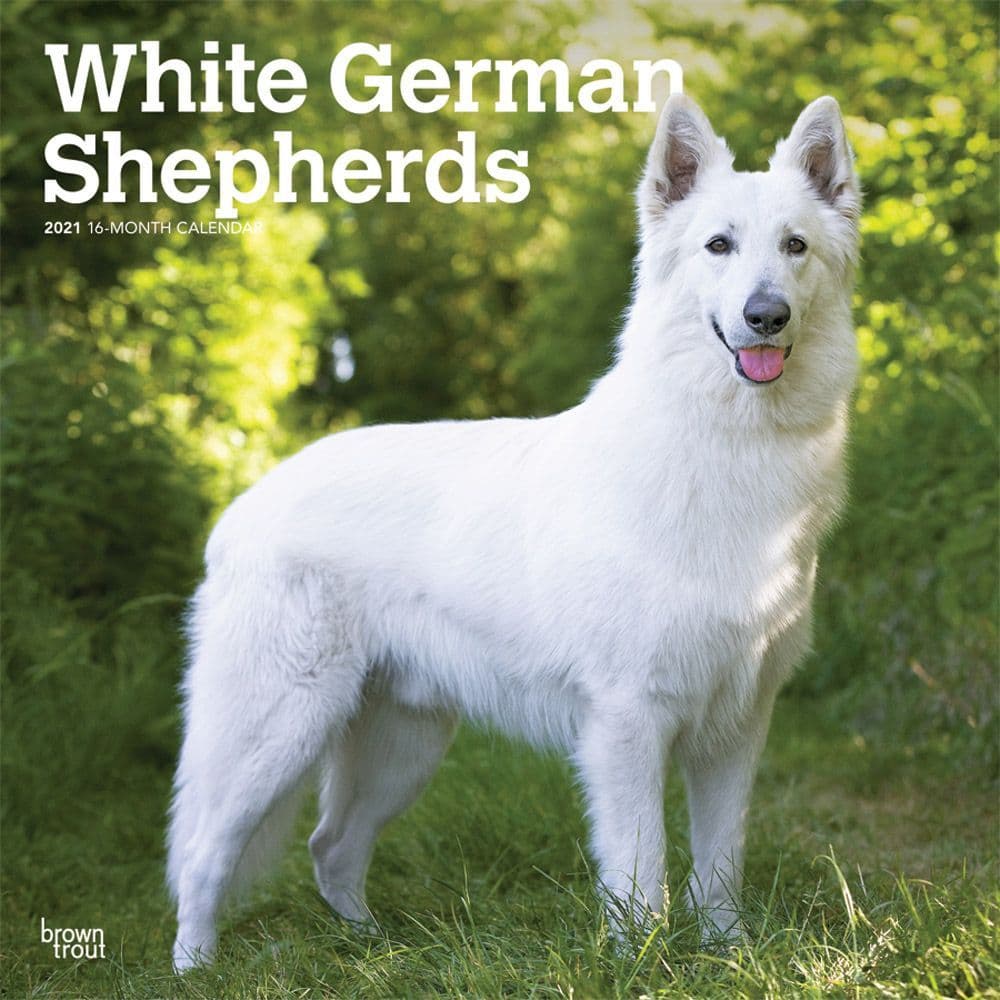 white german shepherd stuffed animal