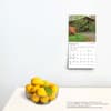 image Southern Places 2024 Mini Wall Calendar Third Alternate  Image width=&quot;1000&quot; height=&quot;1000&quot;