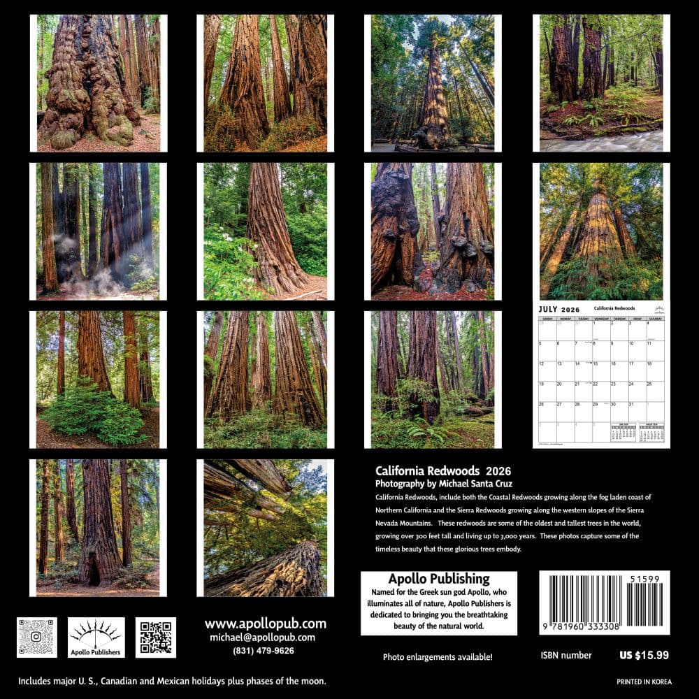 California Redwoods 2026 Wall Calendar First Alternate Image