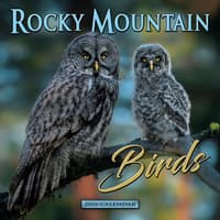 image Rocky Mountain Birds 2026 Wall Calendar Main Image