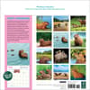 image Capybara 2026 Wall Calendar First Alternate Image