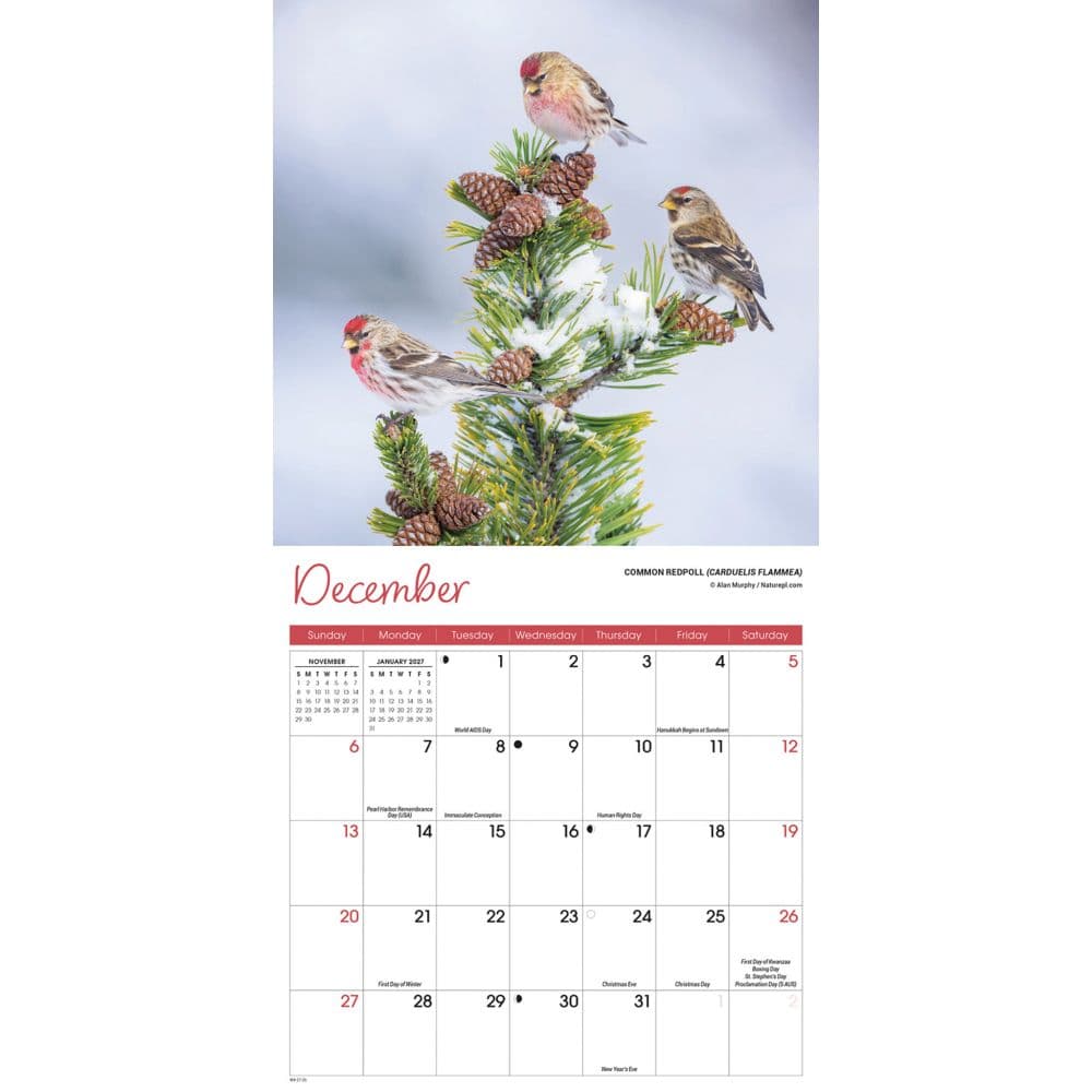 Songbirds 2026 Mini Wall Calendar Fourth Alternate Image