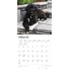 image Portuguese Water Dogs 2024 Wall Calendar Second Alternate Image width=&quot;1000&quot; height=&quot;1000&quot;