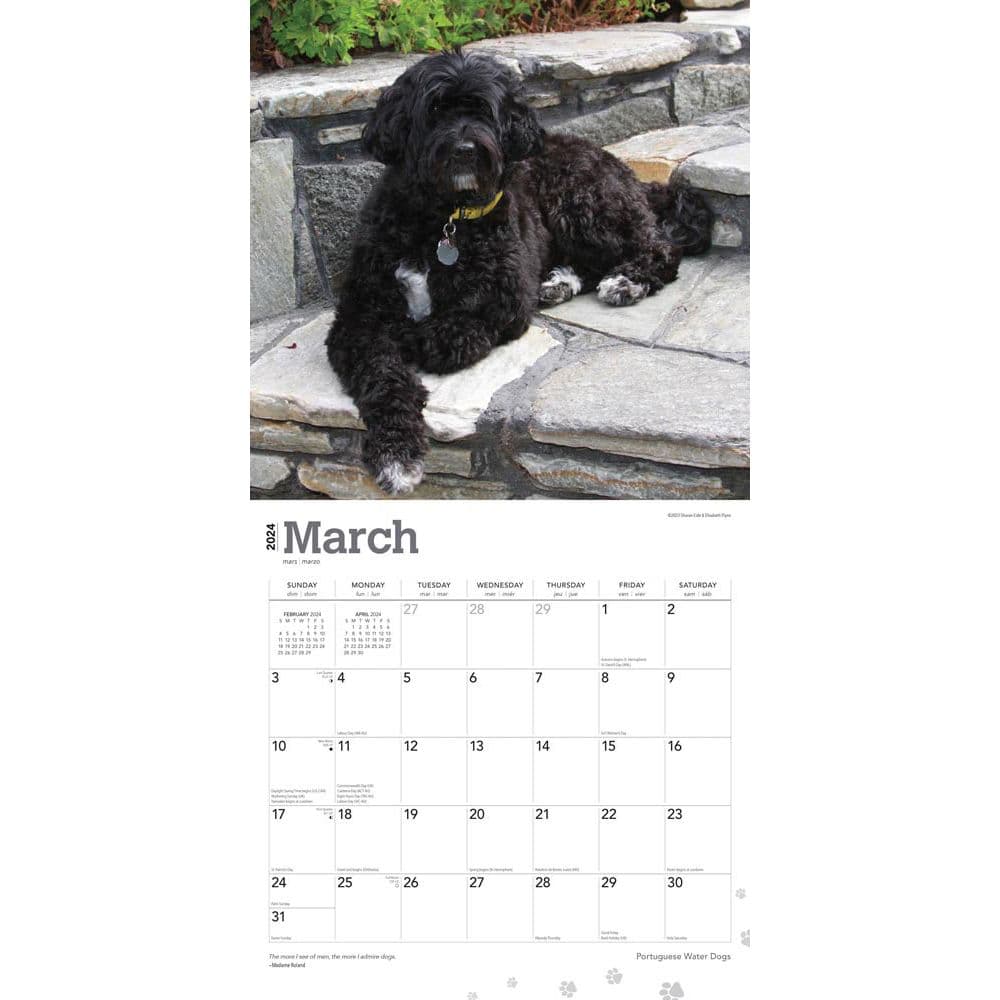 Portuguese Water Dogs 2024 Wall Calendar Second Alternate Image width=&quot;1000&quot; height=&quot;1000&quot;