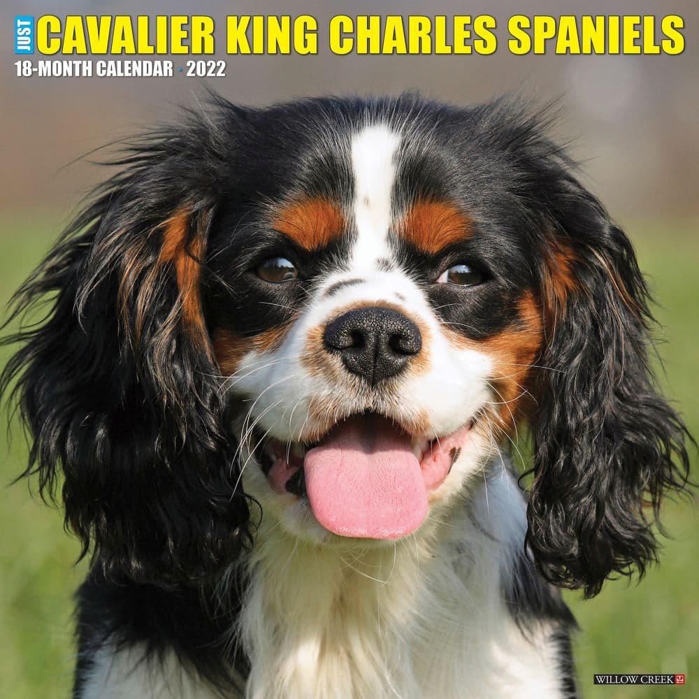 Shop for Cavalier King Charles Spaniels 2023 Square Wall Calendar at Calendars.com Now!