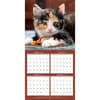 image Curious Kittens 2024 Wall Calendar Alternate Image 3