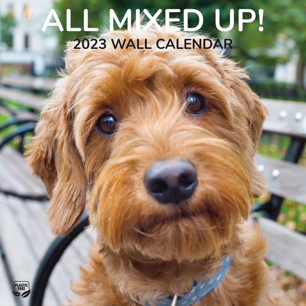 All Mixed Up 12X12 2023 Photo Wall Calendar Calendars