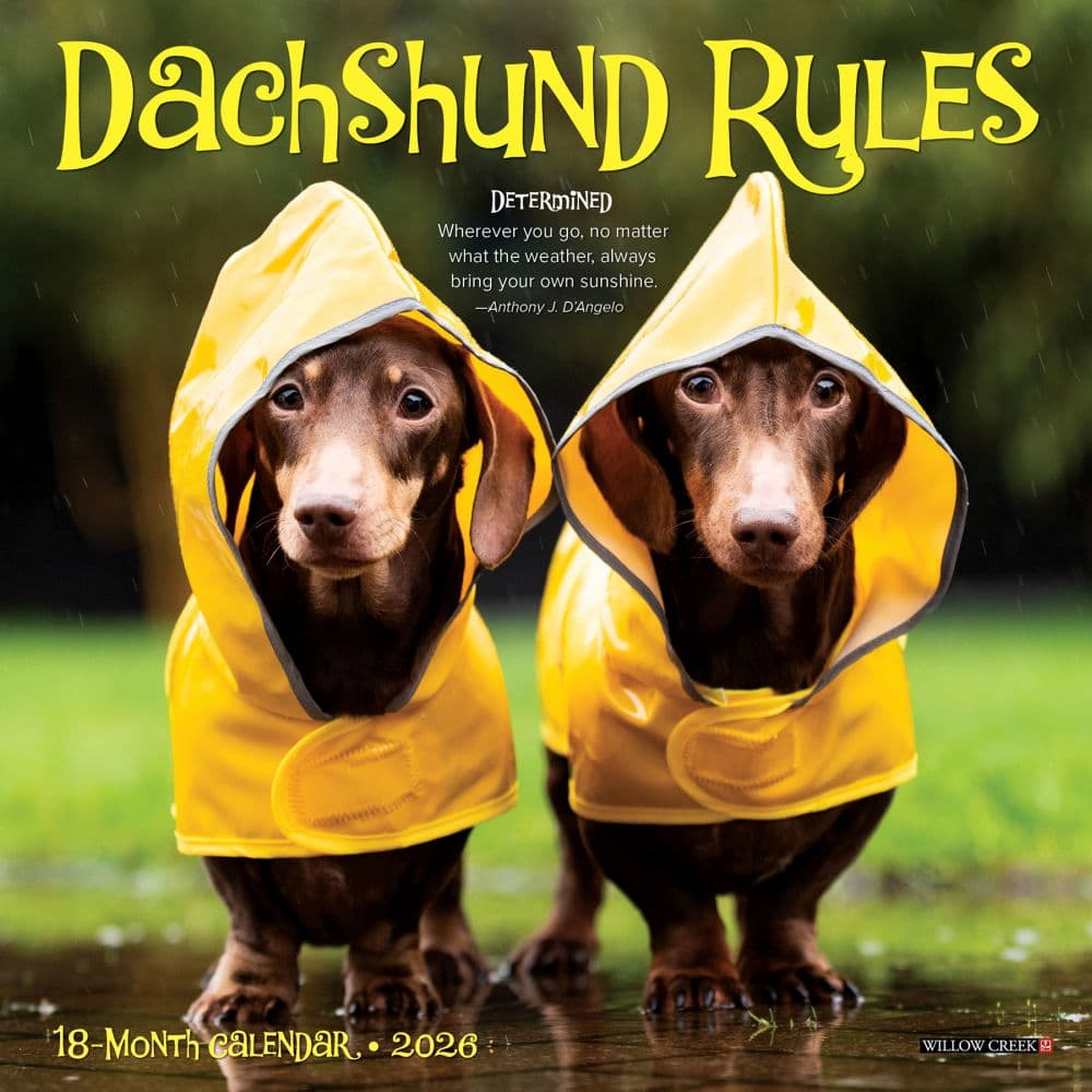Dachshund Rules 2026 Mini Wall Calendar Main Image