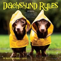 image Dachshund Rules 2026 Mini Wall Calendar Main Image