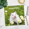 image Hamsters 2027 Wall Calendar Fourth Alternate Image