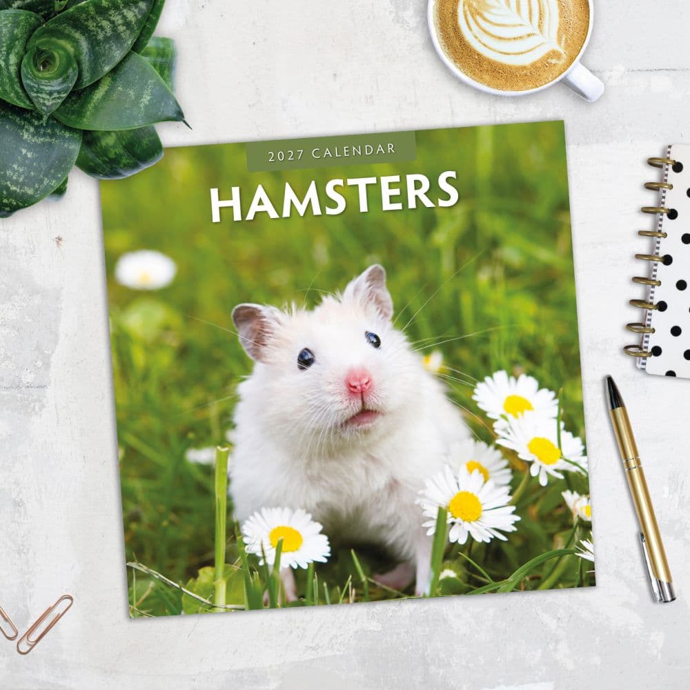 Hamsters 2027 Wall Calendar Fourth Alternate Image
