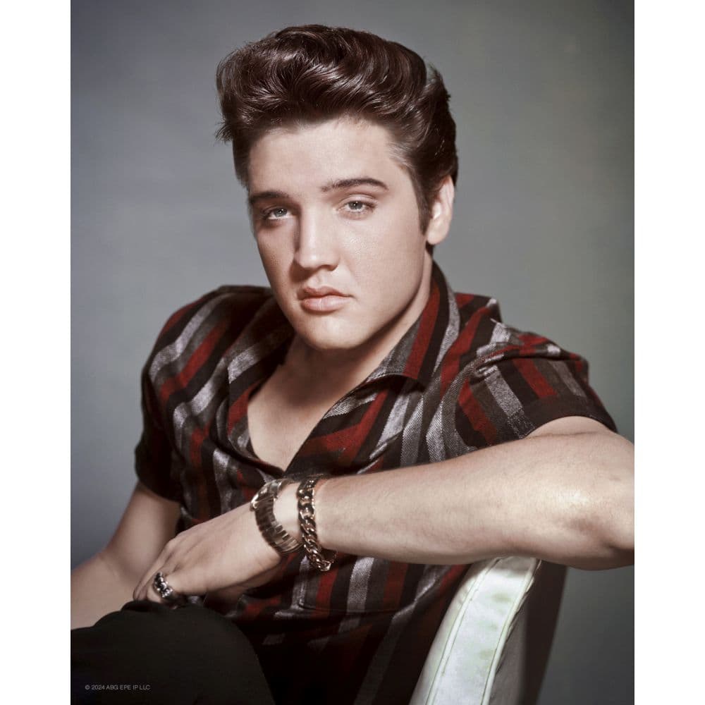 Elvis Exclusive with Bonus Print 2025 Wall Calendar Fifth Alternate Image width=&quot;1000&quot; height=&quot;1000&quot;