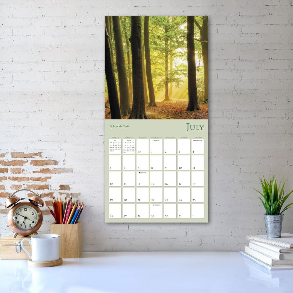 Enchanted Pathways Photography 2026 Wall Calendar Fourth Alternate Image