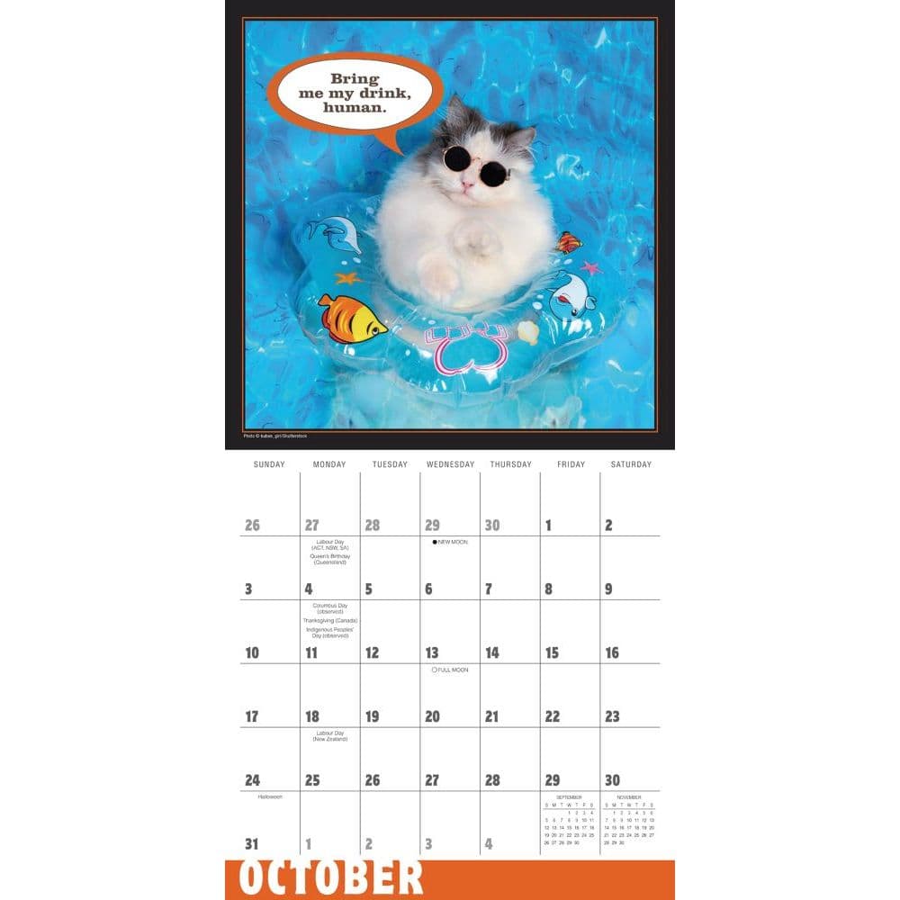 Cat Chat Wall Calendar