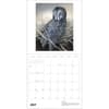 image Owls 2027 Wall Calendar by Jeannine Chappel Fourth Alternate Image