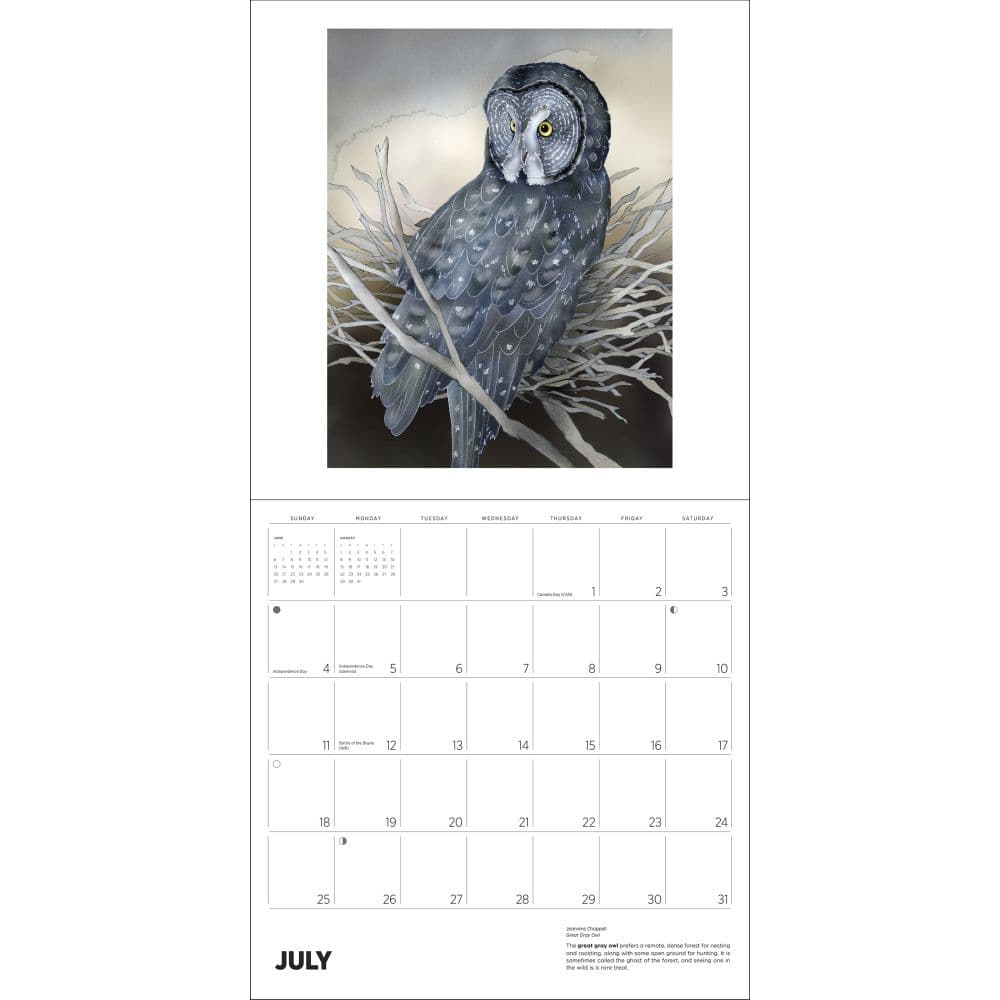 Owls 2027 Wall Calendar by Jeannine Chappel Fourth Alternate Image