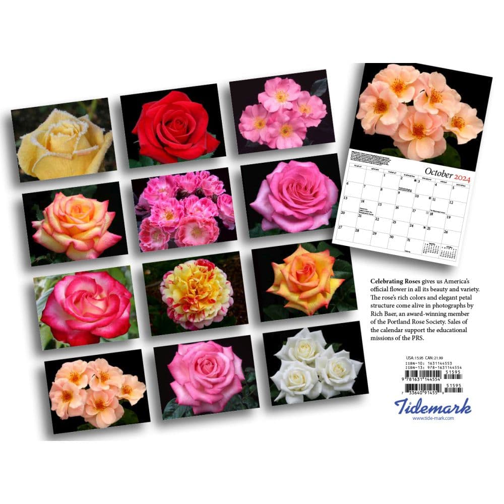 Roses Celebrating 2024 Wall Calendar