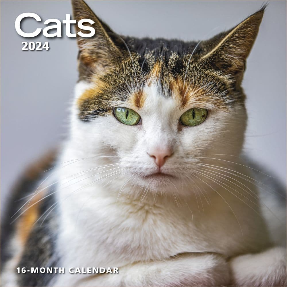 Cats 2024 Wall Calendar - Calendars.com