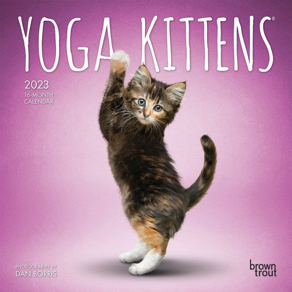 Yoga Kittens 2023 Mini Wall Calendar 7x7 - Calendars.com