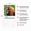 image Baby Animals 2025 Wall Calendar Third Alternate Image width="1000" height="1000"