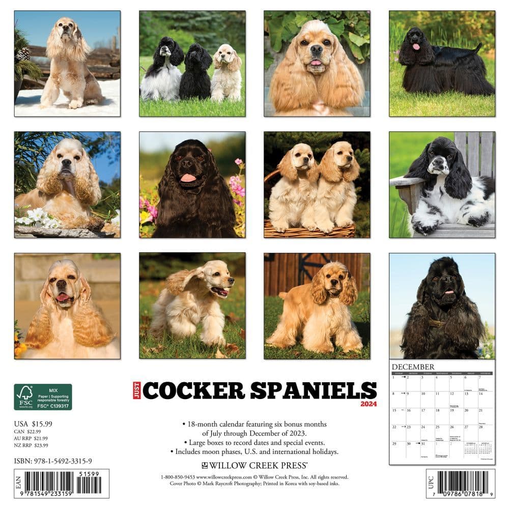 Cocker Spaniels Just 2024 Wall Calendar