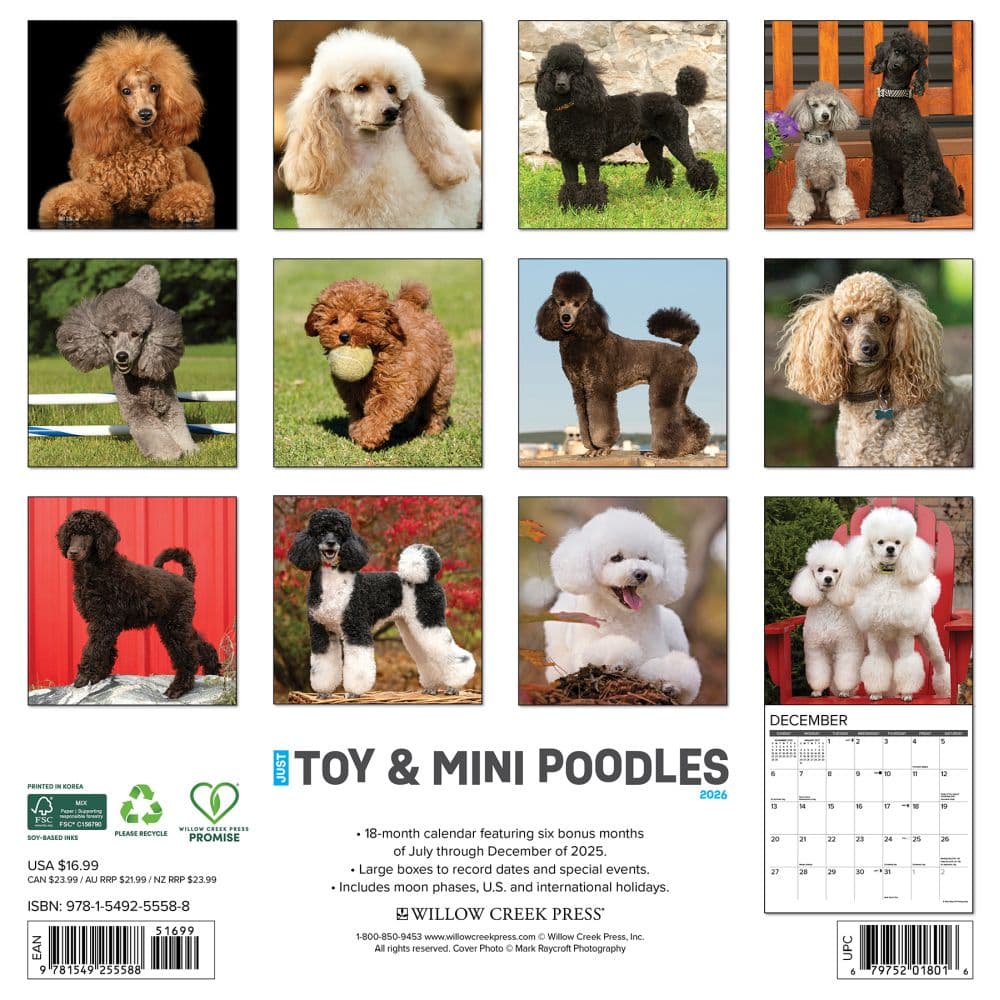 Toy and Miniature Poodles 2026 Wall Calendar First Alternate Image