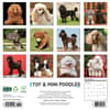 image Toy and Miniature Poodles 2026 Wall Calendar First Alternate Image