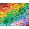 image Succulent Rainbow 1000 Piece Puzzle Main Image