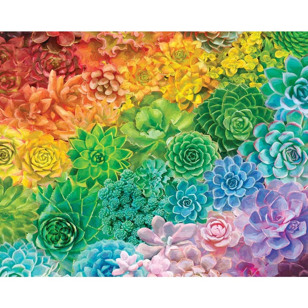 Succulent Rainbow 1000 Piece Puzzle Main Image