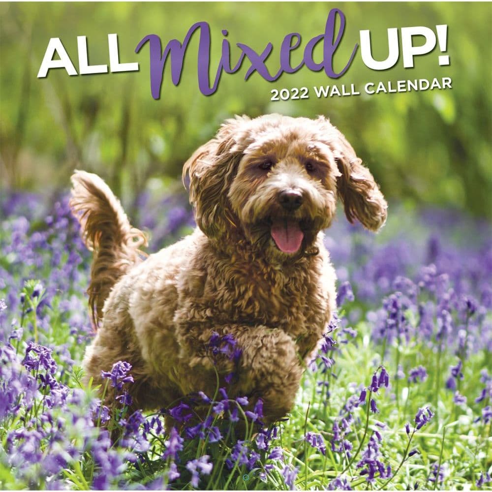 All Mixed Up! 2022 Wall Calendar - Calendars.com