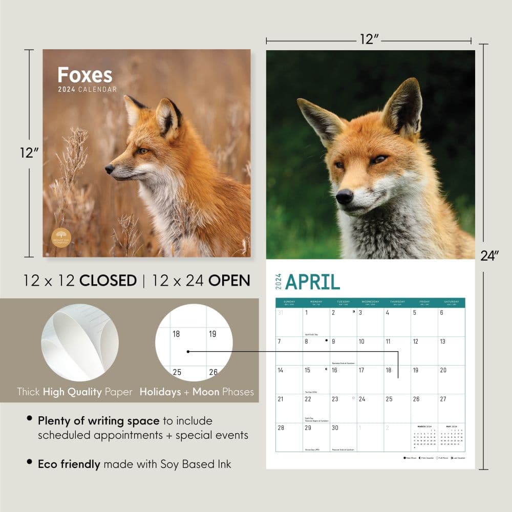 Foxes 2024 Wall Calendar Eighth Alternate Image width=&quot;1000&quot; height=&quot;1000&quot;