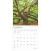 image Worlds Greatest Trees 2025 Wall Calendar