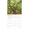 image Majesty of Trees 2025 Wall Calendar