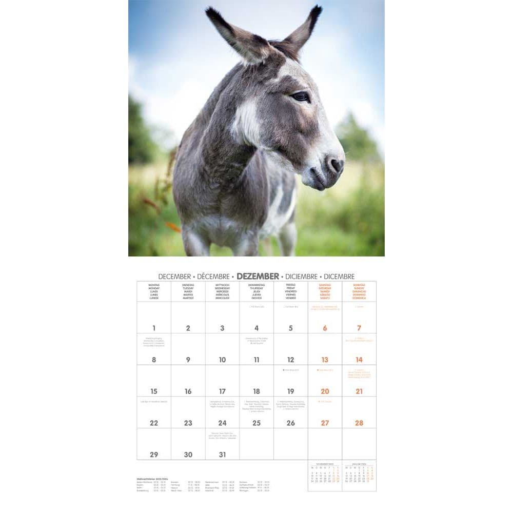 Donkeys 2025 Wall Calendar