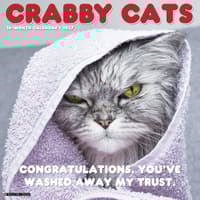 image Crabby Cats 2027 Wall Calendar Main Product Image